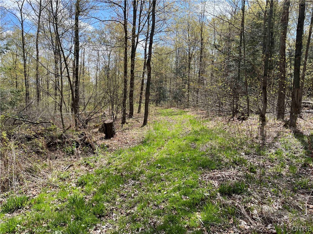 9929 State Route Arkport, NY 14807 - Photo 45 of 50