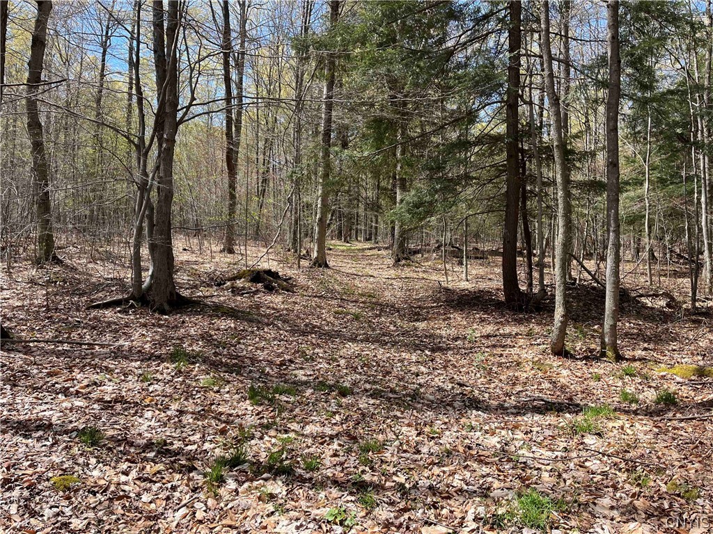 9929 State Route Arkport, NY 14807 - Photo 47 of 50