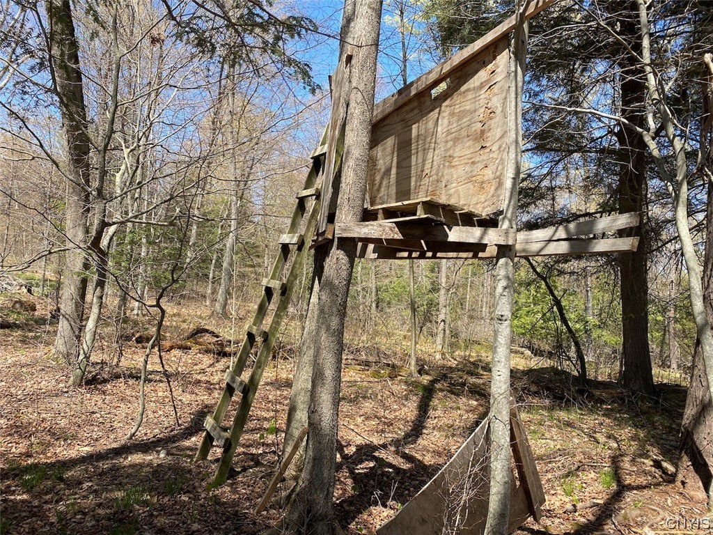 9929 State Route Arkport, NY 14807 - Photo 48 of 50