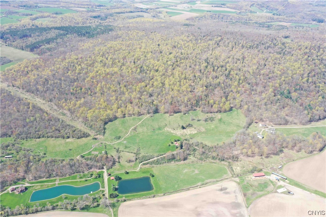 9929 State Route Arkport, NY 14807 - Photo 49 of 50