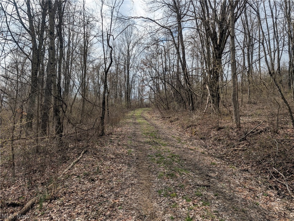 39000 Lees Run Road Cadiz, OH 43907 - Photo 30 of 49