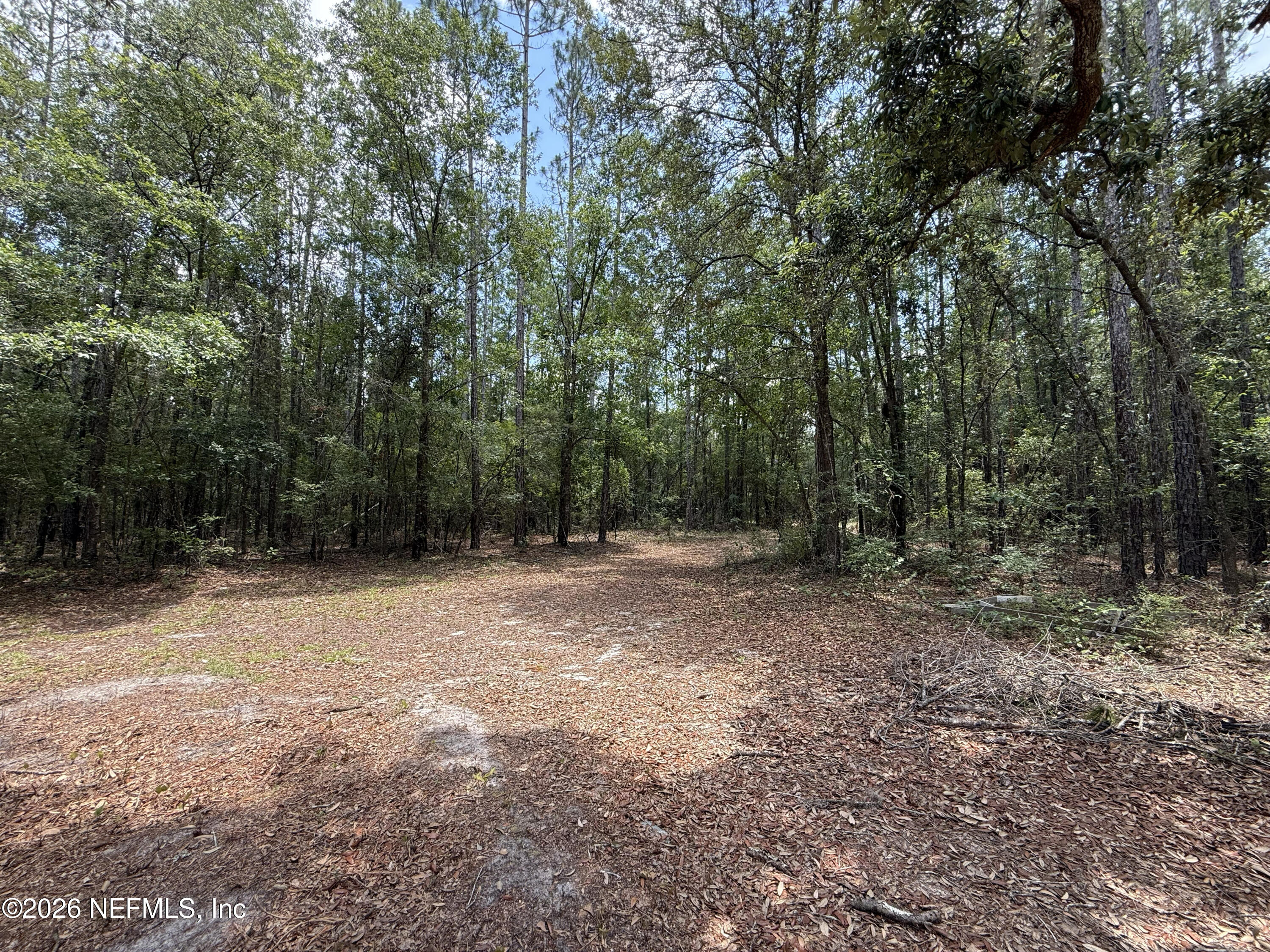 15422 Bullock Bluff Road Bryceville, FL 32009 - Photo 4 of 23 a view of outdoor space with trees