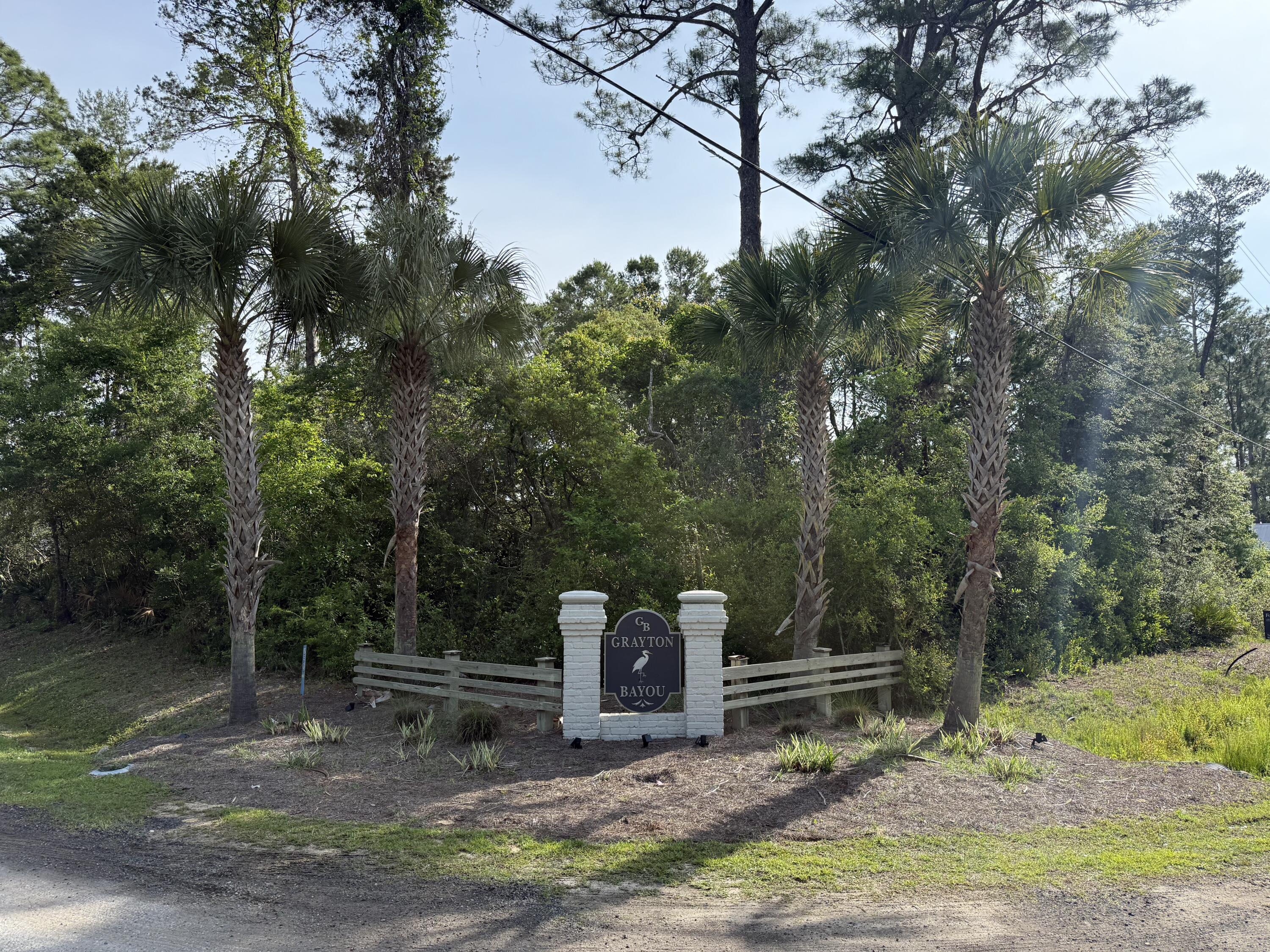 a view of a forest with a bench and trees around