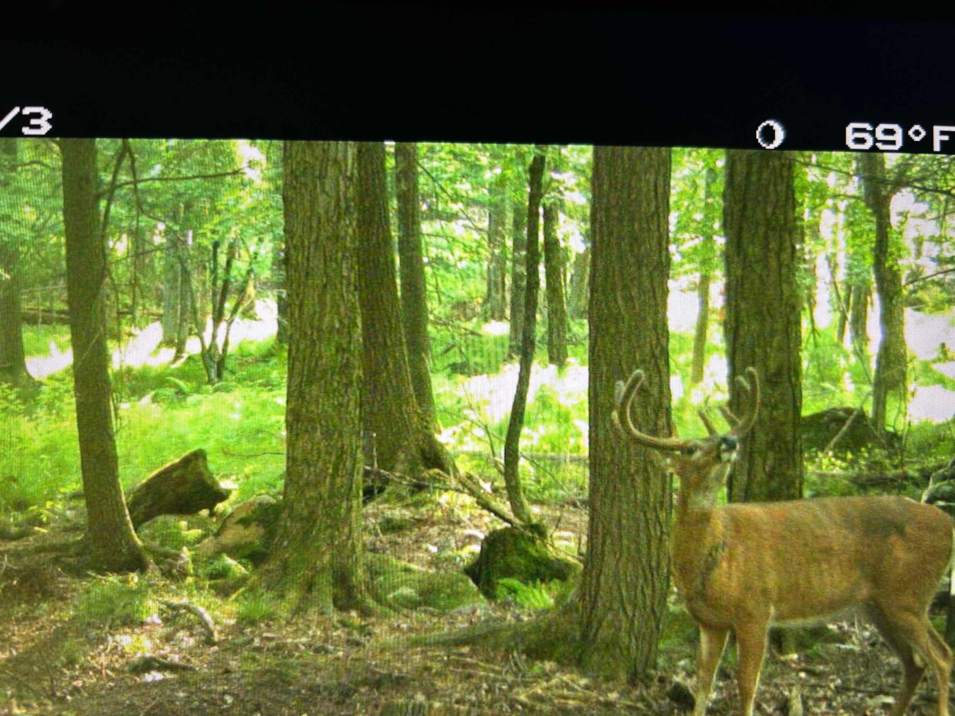 0 Hill Road Wausau, WI 54403 - Photo 1 of 1