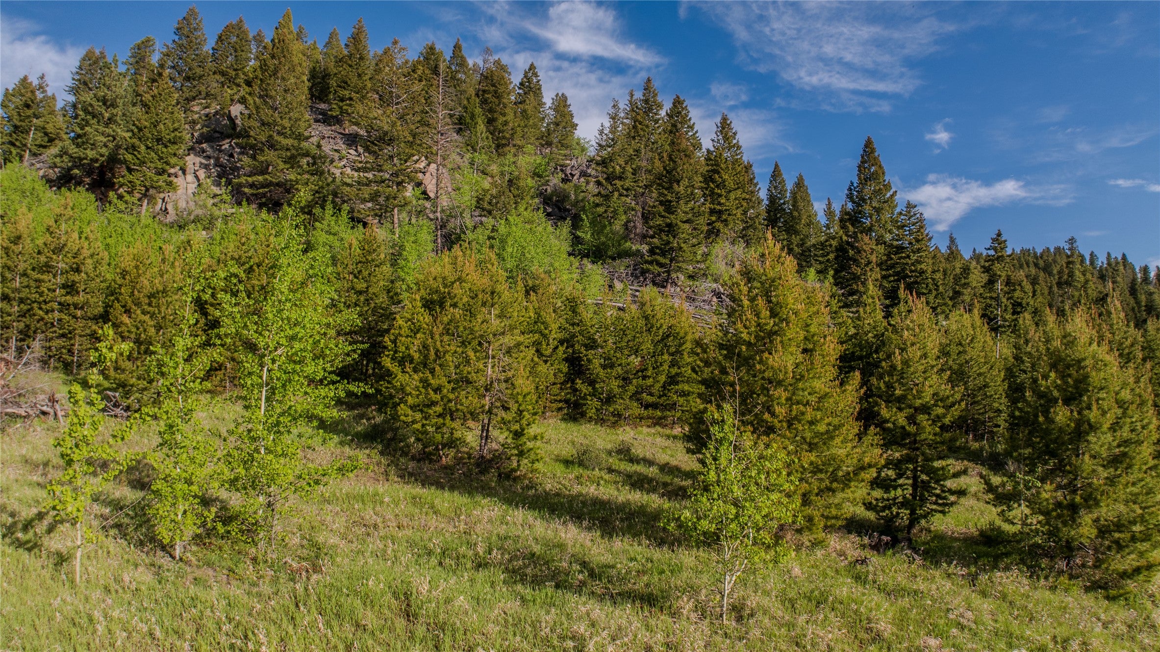 72 Big Indian Gulch Road Clancy, MT 59634 - Photo 16 of 28 Gallery Image 16
