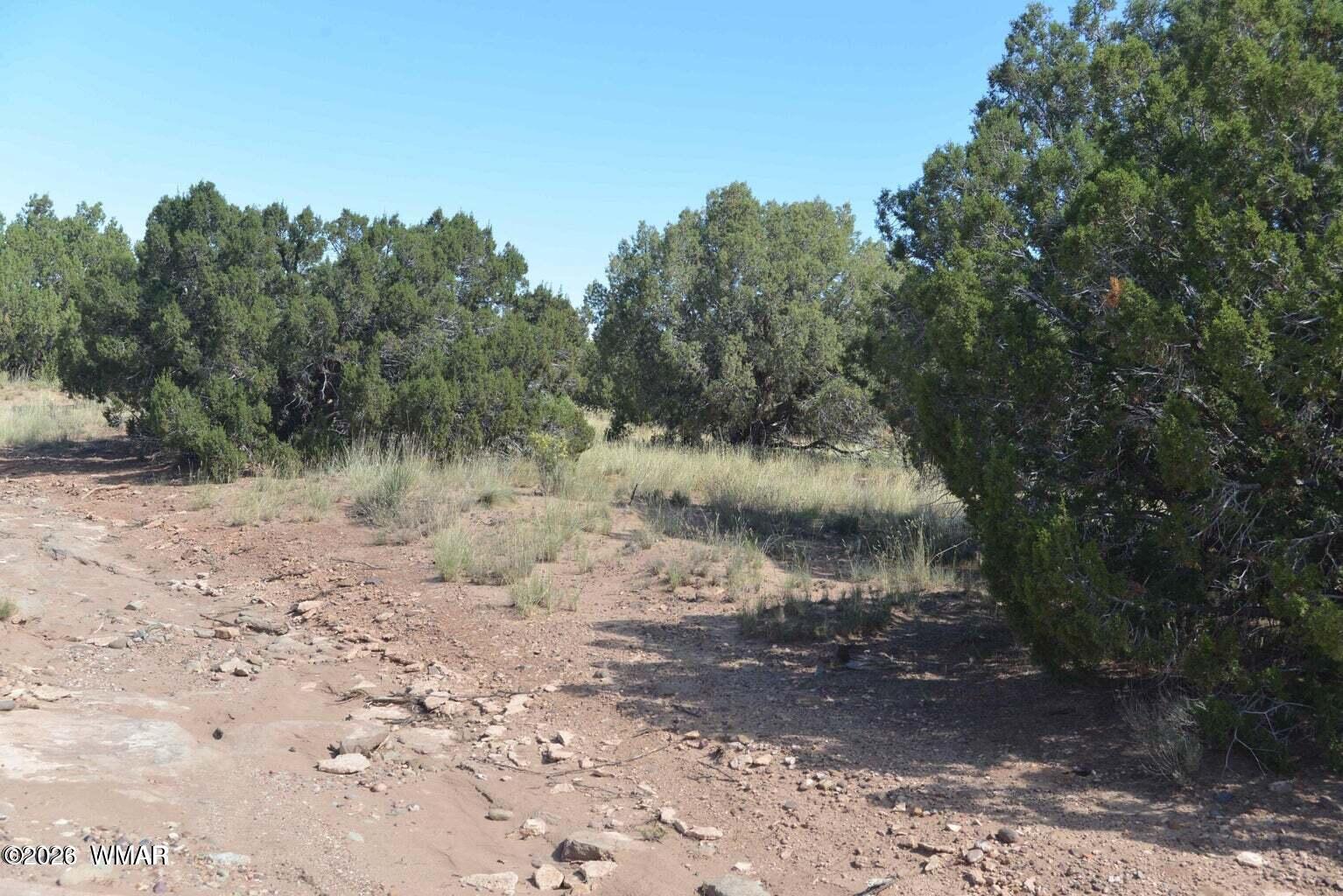 4027 Indian Bend Road Snowflake, AZ 85937 - Photo 2 of 2 Picture of property at property line on Indian Bend