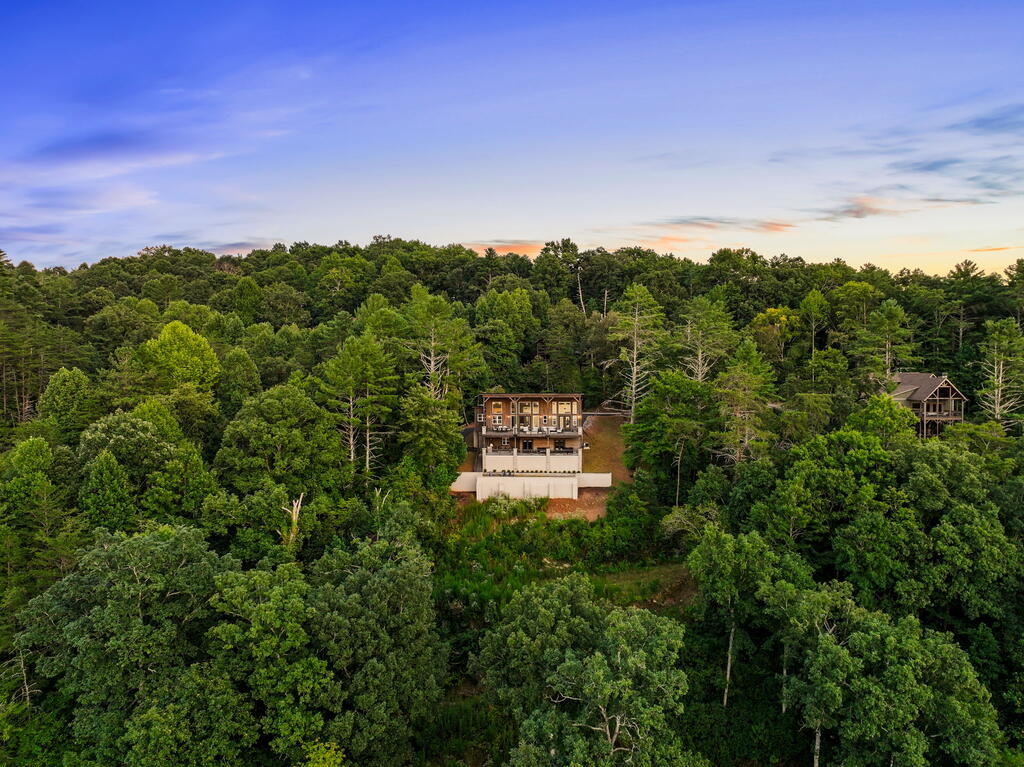 744 Bear Walk Road Mineral Bluff, GA 30559 - Photo 90 of 98 Gallery Image 90
