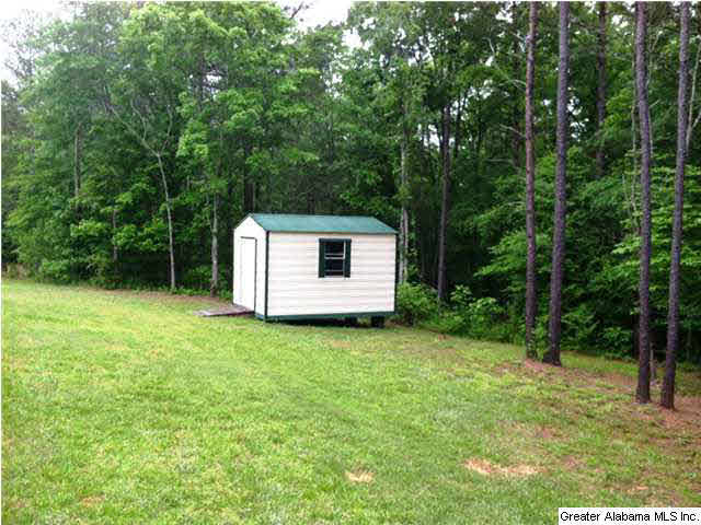 236 County Road 910 Delta, AL 36258 - Photo 7 of 27