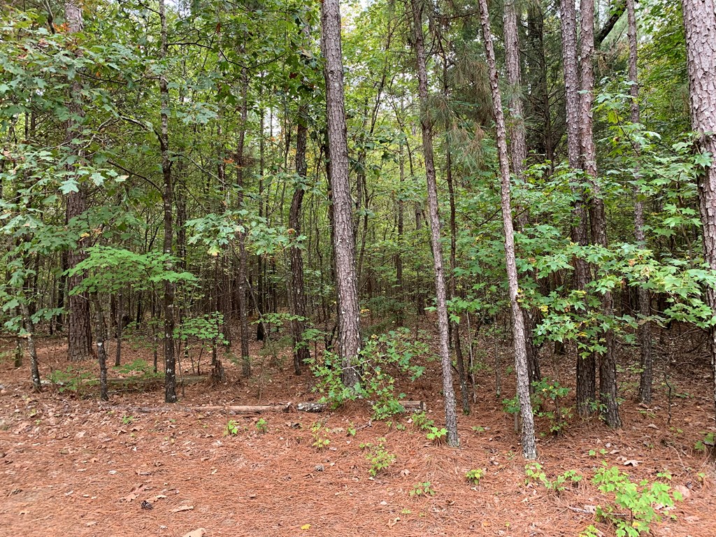 1010 Scotts Ferry Road Ninety Six, SC 29666 - Photo 39 of 41 Gallery Image 39