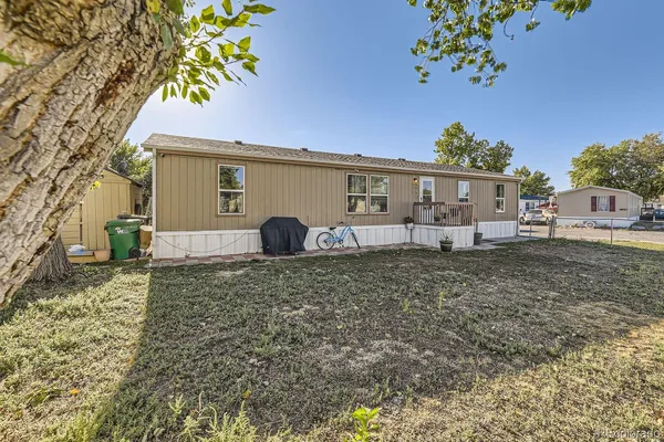 a view of a house with a backyard and a tree