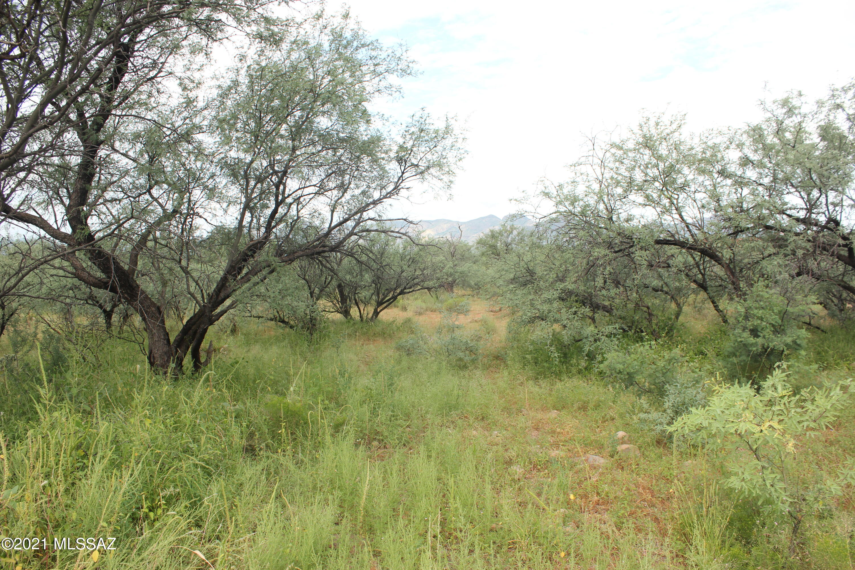 1921 Circulo Mexicali, Unit 3 Rio Rico, AZ 85648 - Photo 2 of 3