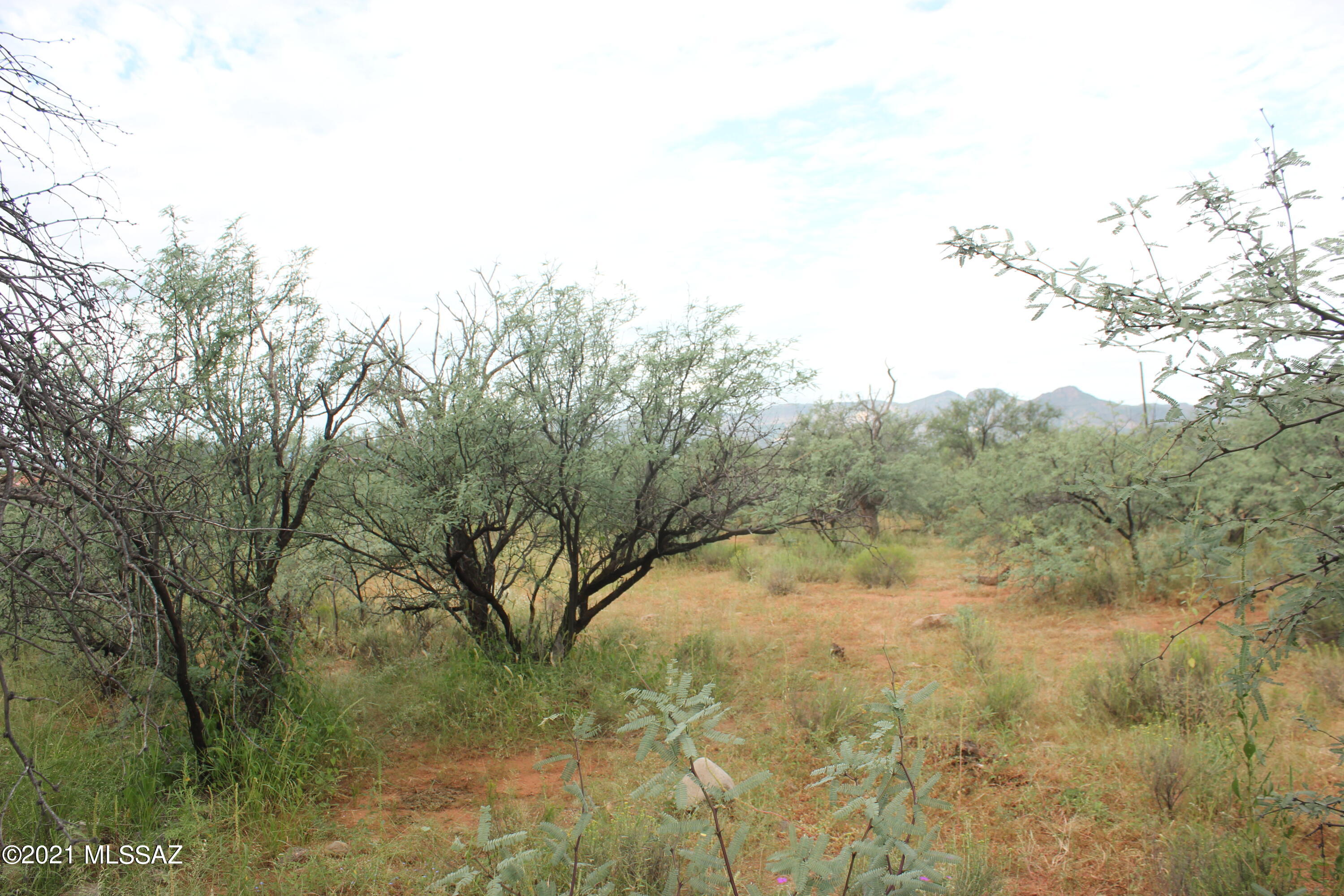 1921 Circulo Mexicali, Unit 3 Rio Rico, AZ 85648 - Photo 3 of 3