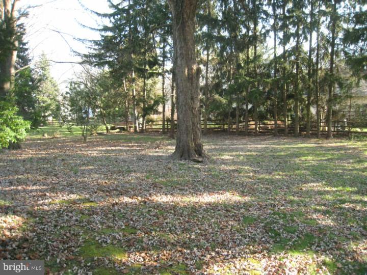 1213 Hoffman Road Ambler, PA 19002 - Photo 5 of 23 Back Yard