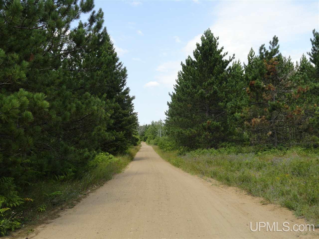 43-acres Chain Of Lakes Road Republic, MI 49879 - Photo 4 of 11