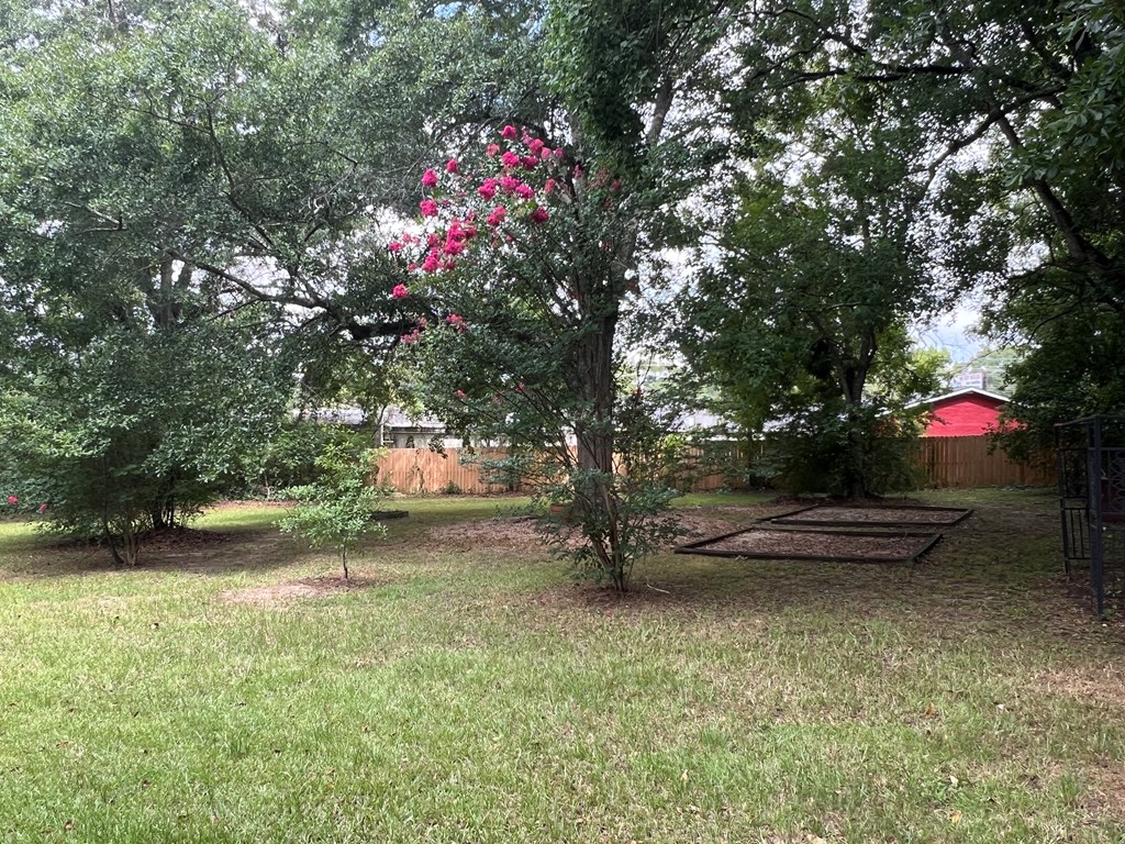 3447 Montecello Drive Columbus, GA 31906 - Photo 11 of 11 a backyard of a house with a tree