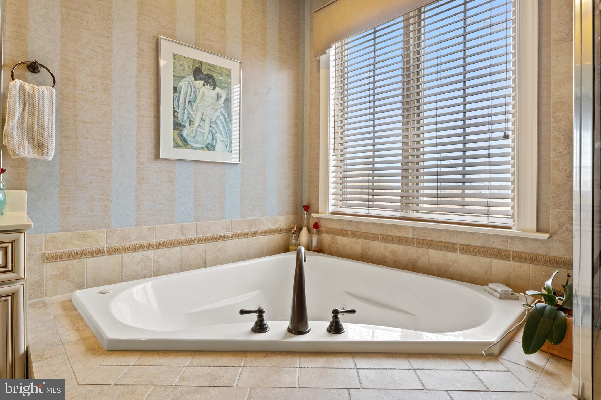 108 Valmere Path York, PA 17403 - Photo 39 of 84 a bath tub sitting in a bathroom next to a window