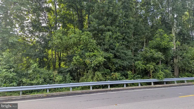 a view of a green field