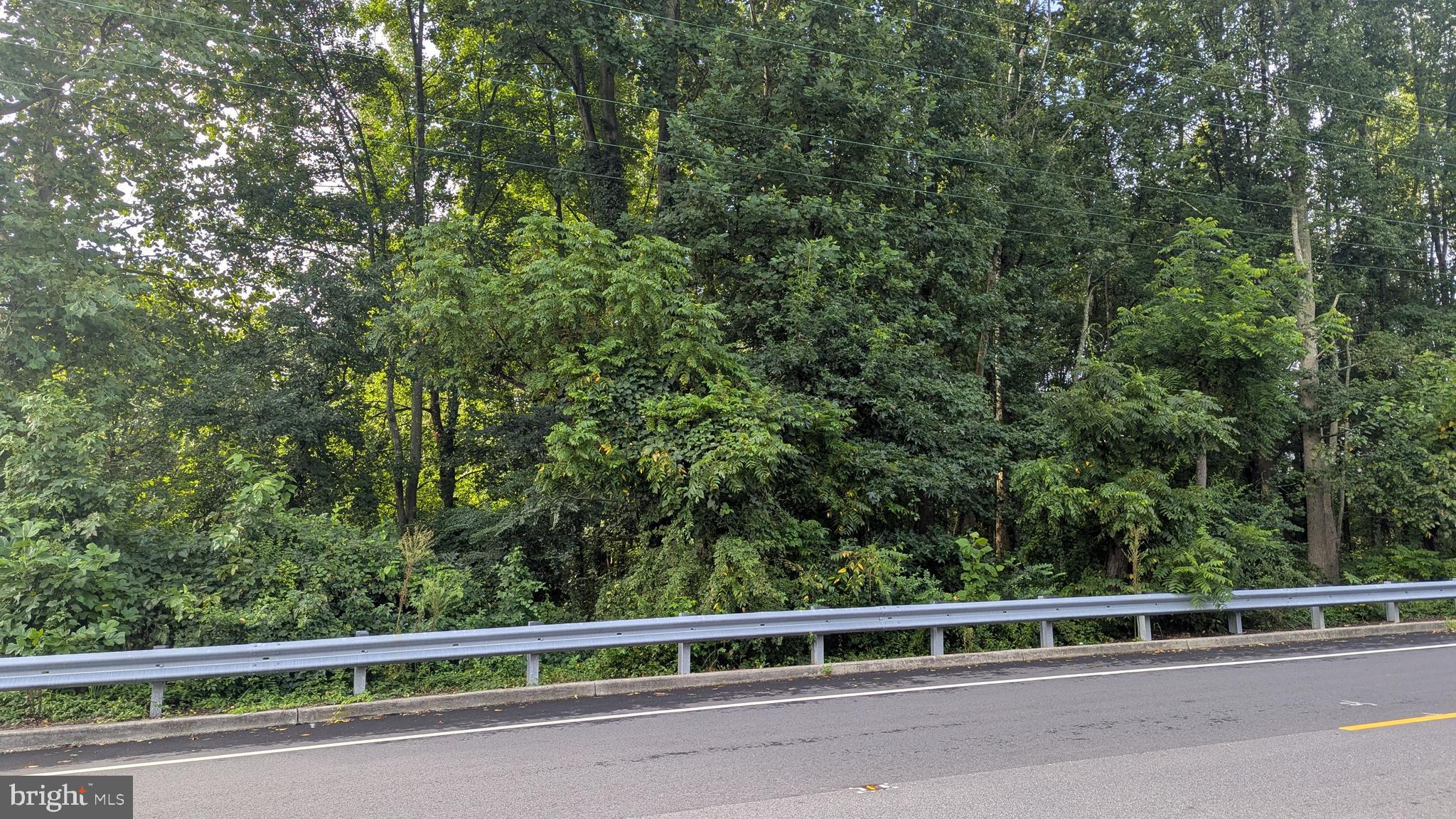 0 Alloway Aldine Road Woodstown, NJ 08098 - Photo 3 of 4 a view of a green field