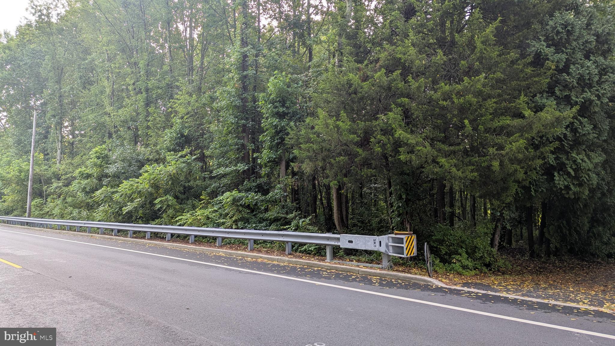 0 Alloway Aldine Road Woodstown, NJ 08098 - Photo 4 of 4 a view of a forest with trees in front of it