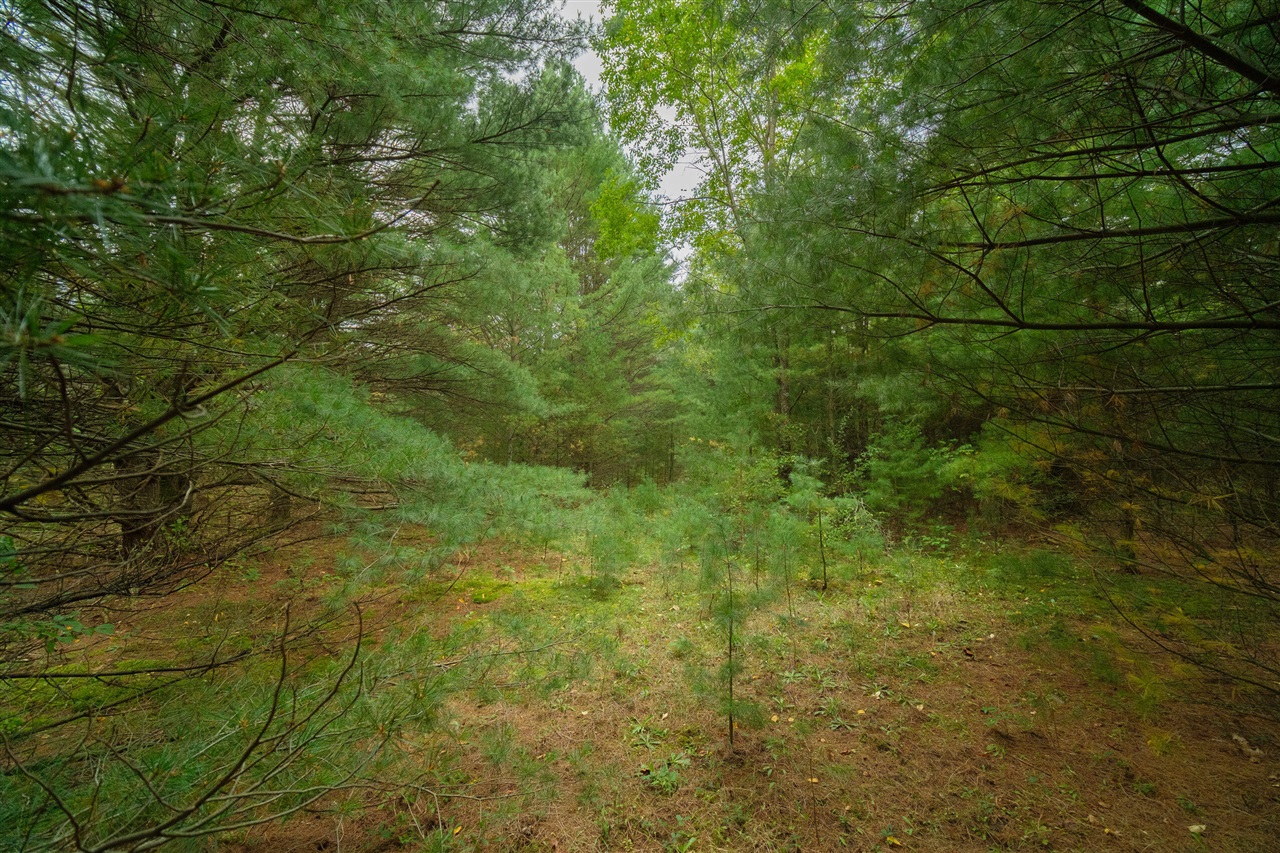 0 Erdman Road Onekama, MI 49675 - Photo 13 of 69 Gallery Image 13