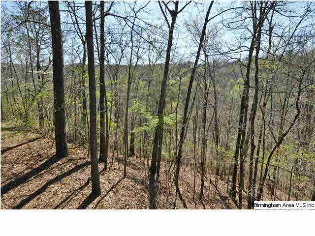 2425 Weidman Road Birmingham, AL 35242 - Photo 32 of 32