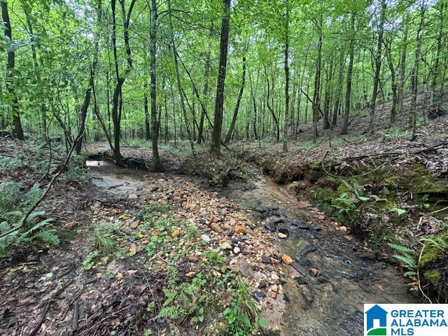 79 County Road, Unit 70 Daviston, AL 36256 - Photo 9 of 21 Gallery Image 9