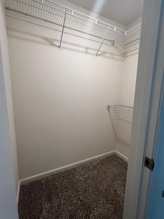 1226 Parker Drive Princeton, TX 75407 - Photo 22 of 35 Walk in closet with carpet flooring