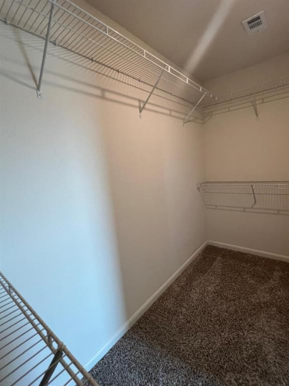 1226 Parker Drive Princeton, TX 75407 - Photo 32 of 35 Walk in closet featuring carpet floors