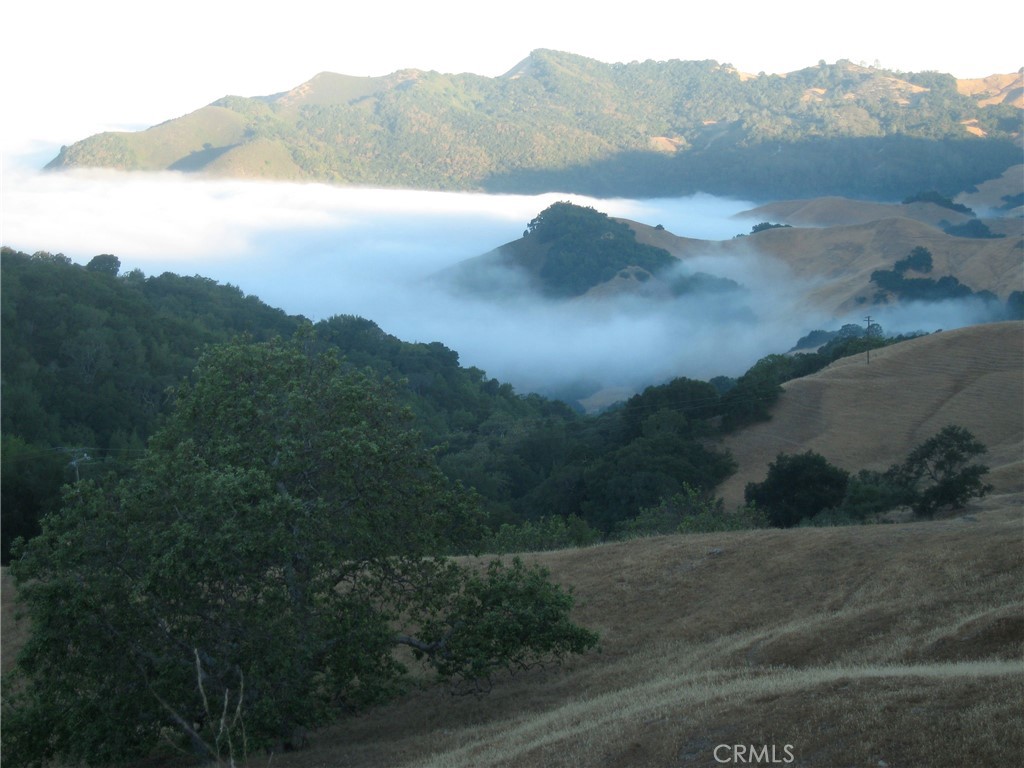 9500 Santa Rosa Creek Road Cambria, CA 93428 - Photo 27 of 33 Above the fog