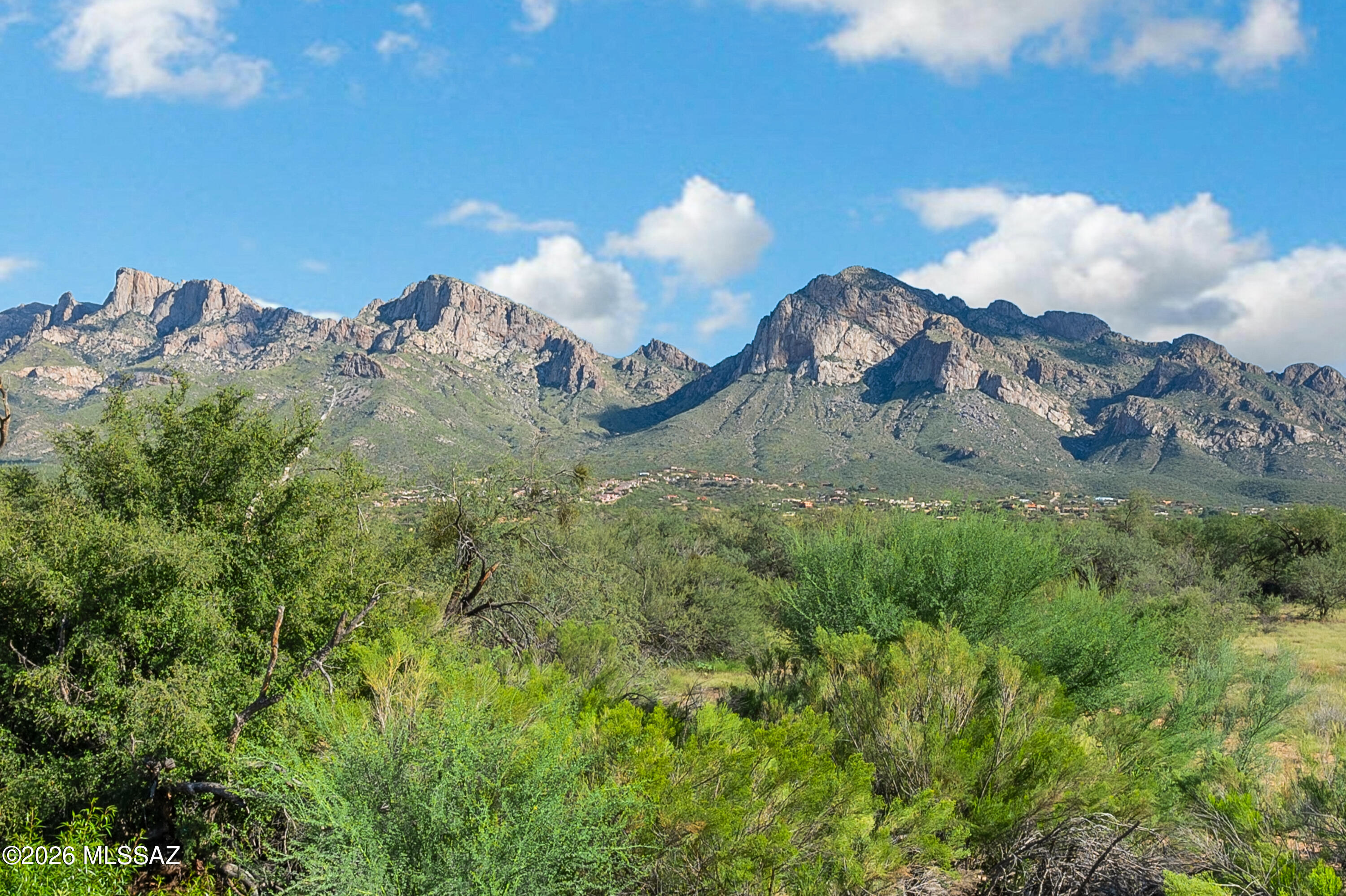 238 East Shore Cliff Place Oro Valley, AZ 85737 - Photo 26 of 27 Backs to CDO Wash