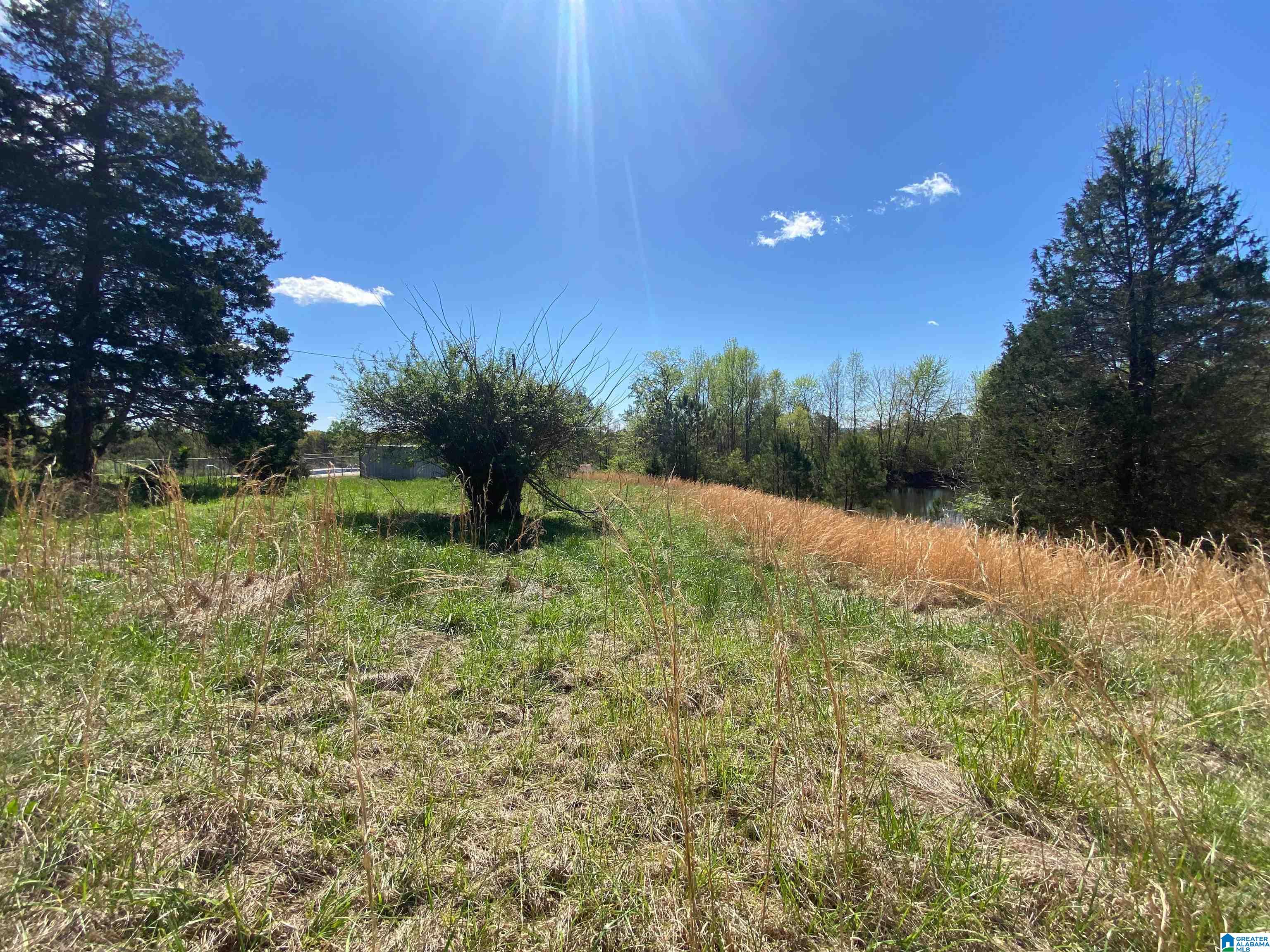 2590 Levine Road Odenville, AL 35120 - Photo 32 of 33
