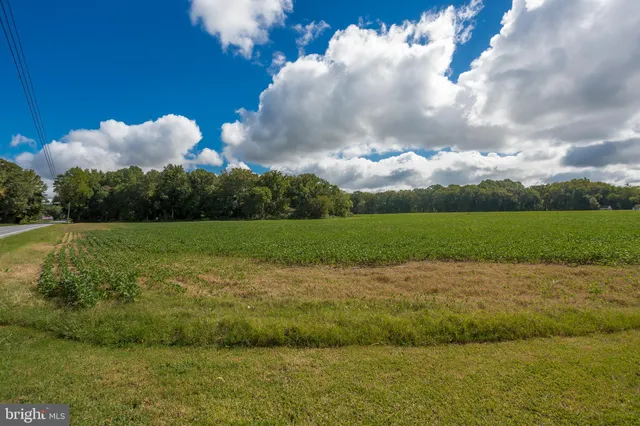a view of a golf course with a lake