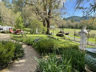 1100 McMullen Creek Road Selma, OR 97538 - Photo 14 of 25 a view of yard with green space