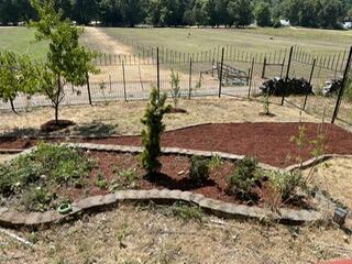 1100 McMullen Creek Road Selma, OR 97538 - Photo 17 of 25 a view of a backyard