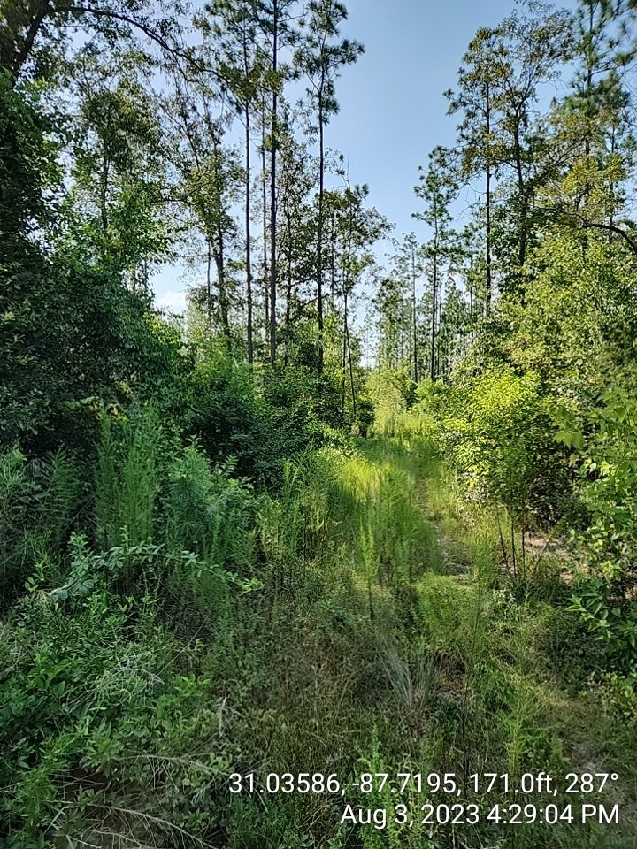 6 Paul Road Bay Minette, AL 36507 - Photo 3 of 3