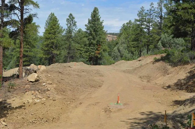 a view of a road with trees
