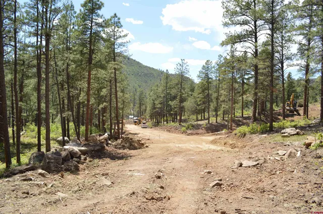 a view of dirt field with trees in the background