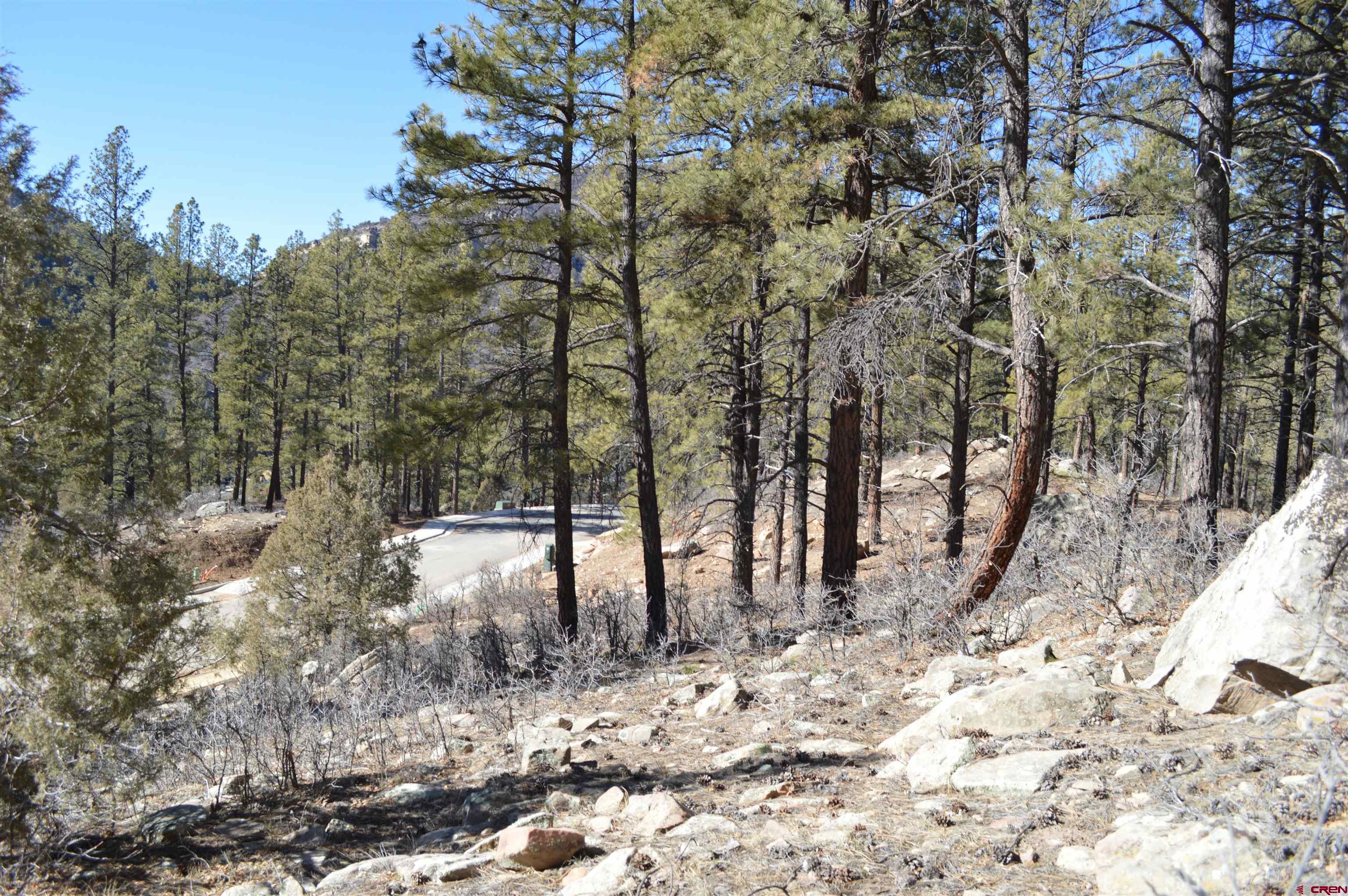 819 Tipple Avenue Durango, CO 81301 - Photo 8 of 29