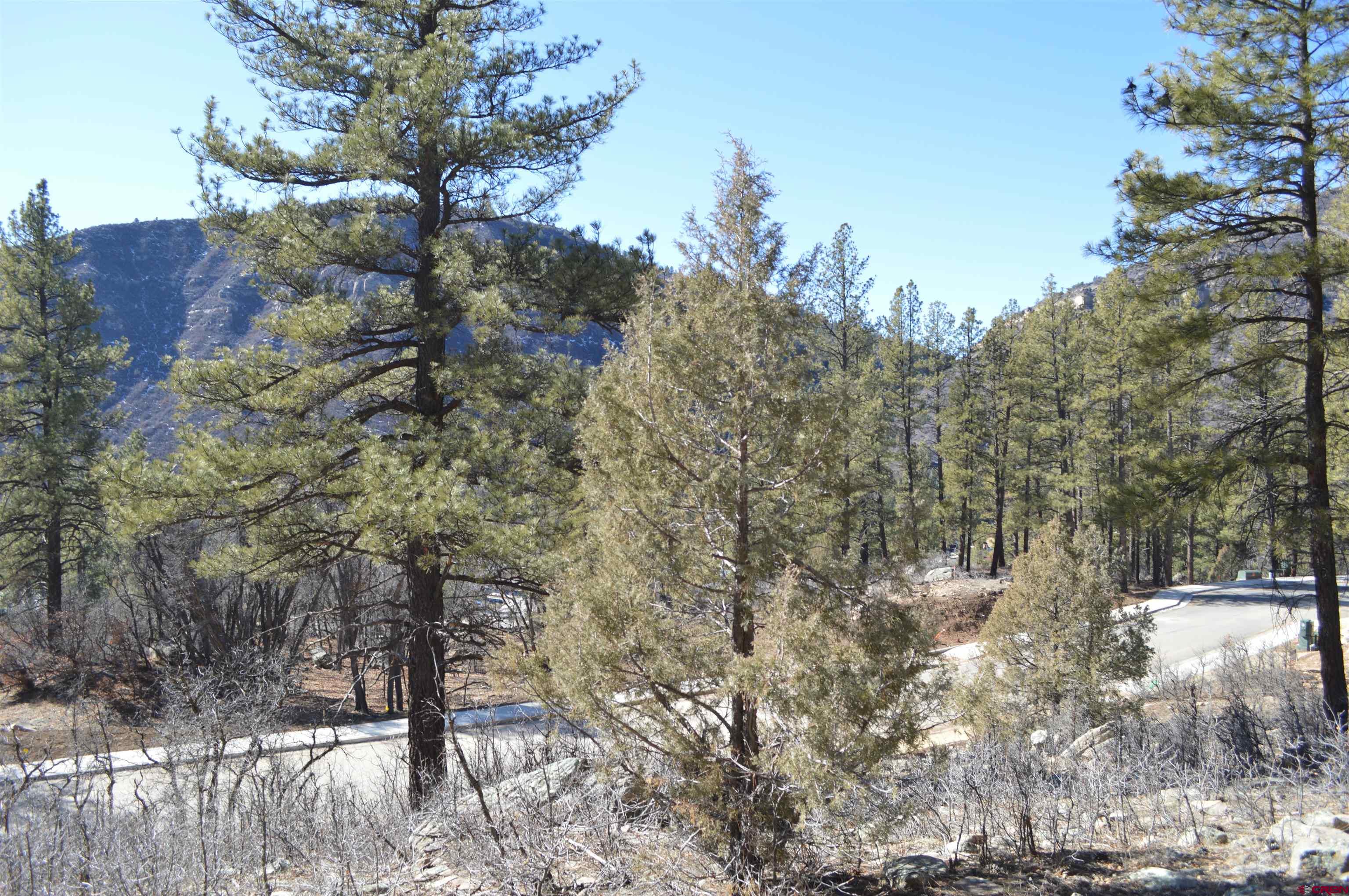 819 Tipple Avenue Durango, CO 81301 - Photo 9 of 29