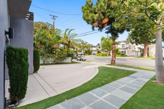 a view of a park with palm trees