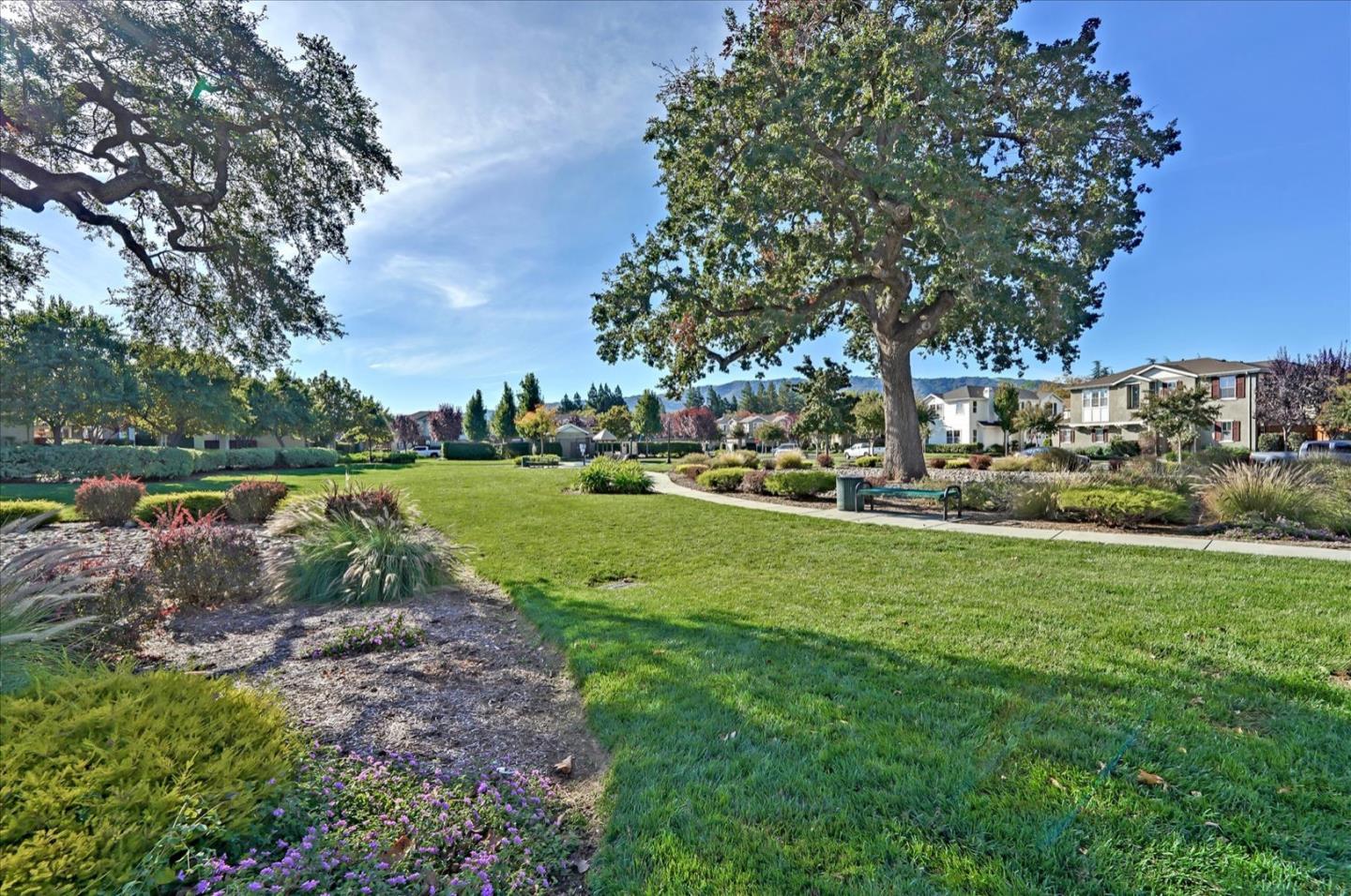 7929 Kipling Circle Gilroy, CA 95020 - Photo 37 of 39 a view of a park with large trees
