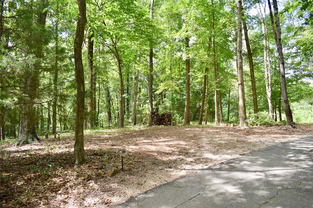 860 Durham Brown Road Seneca, SC 29678 - Photo 17 of 19 Gallery Image 17