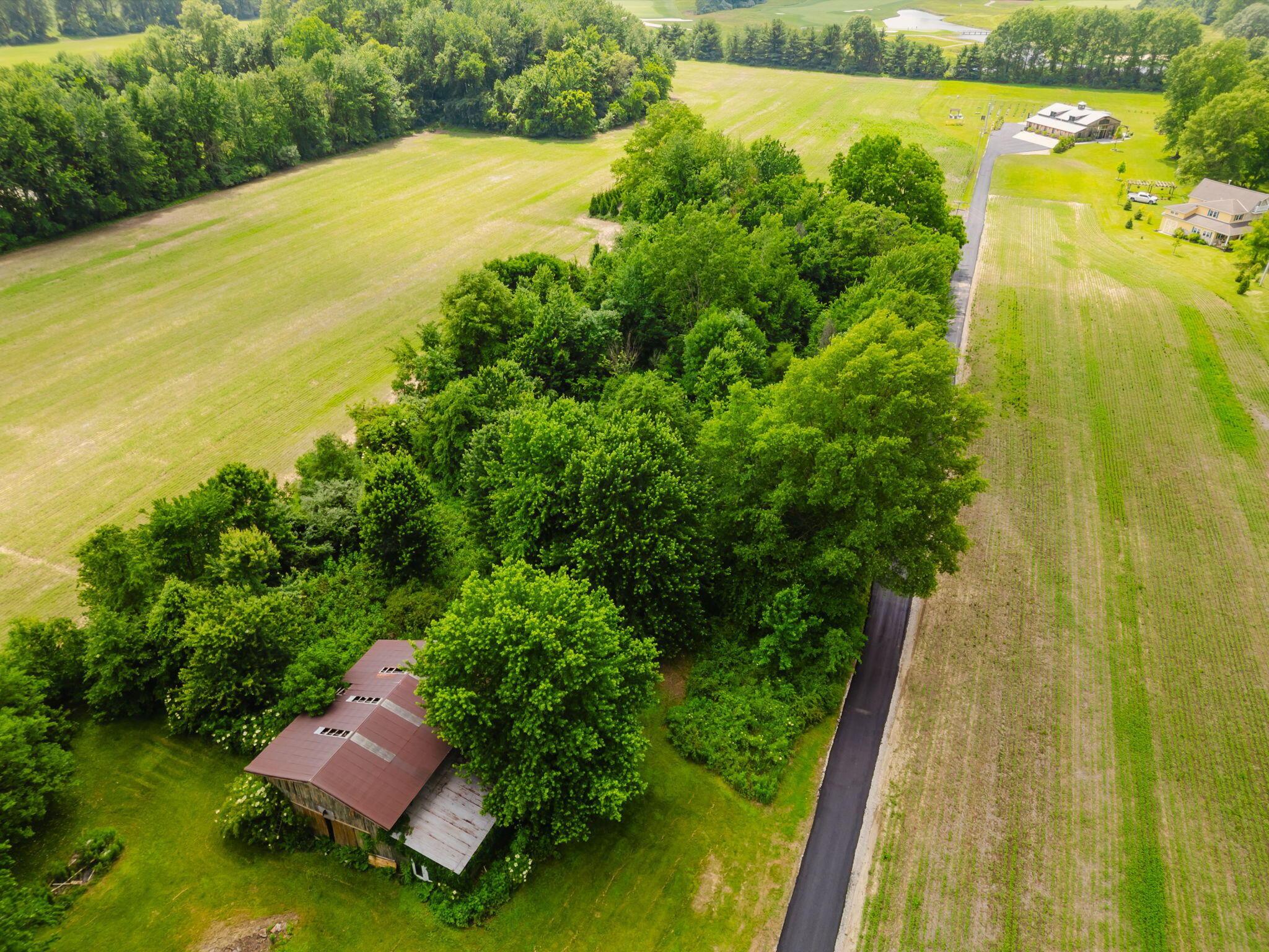 5431 Babbitt Road New Albany, OH 43054 - Photo 3 of 39