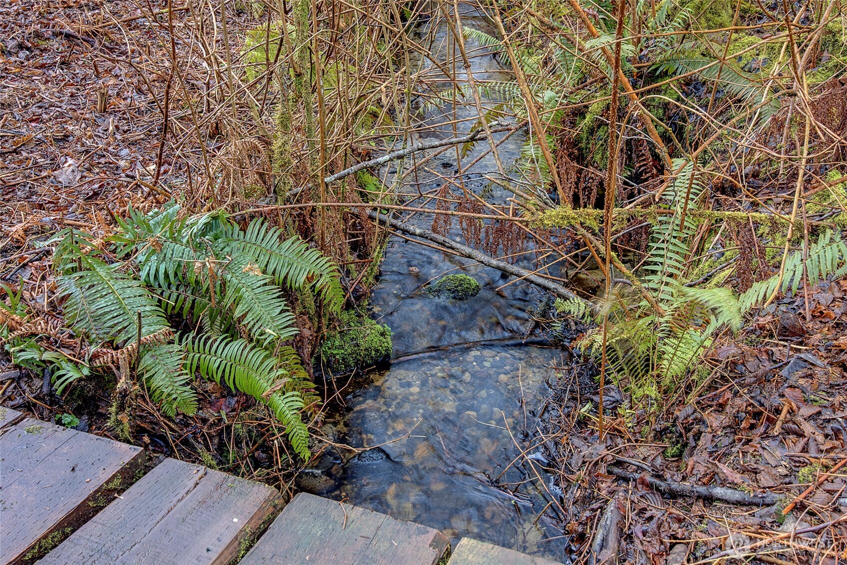 5305 West Interurban Boulevard Bothell, WA 98012 - Photo 35 of 37