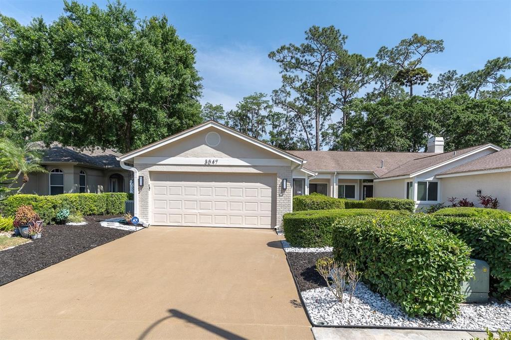 3047 Bolt Drive Palm Harbor, FL 34685 - Photo 1 of 1 front view of a house with a yard