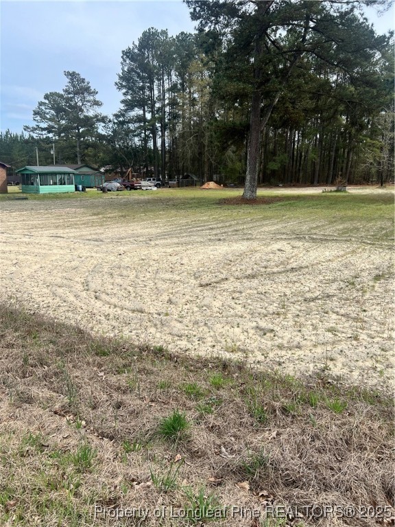 Rockingham Road Laurel Hill, NC 28351 - Photo 1 of 1