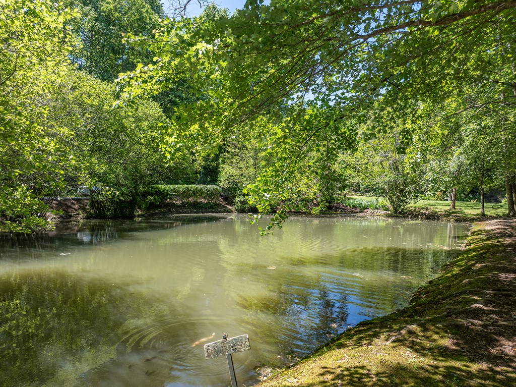 724 Fish Cove Road Blairsville, GA 30512 - Photo 25 of 88