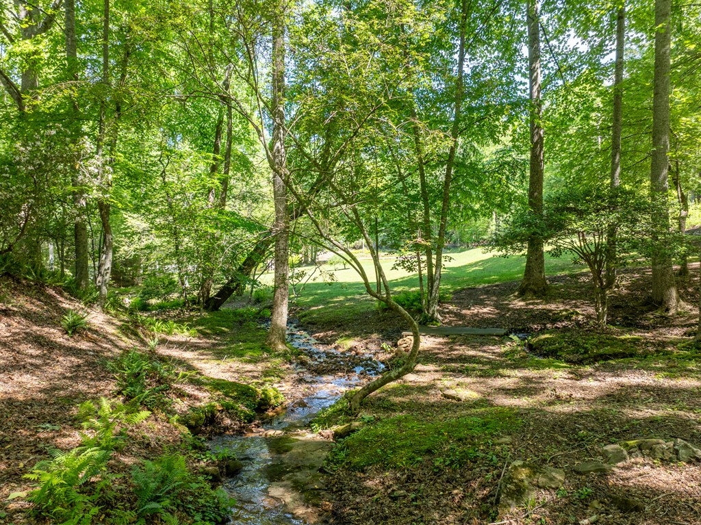 724 Fish Cove Road Blairsville, GA 30512 - Photo 27 of 88