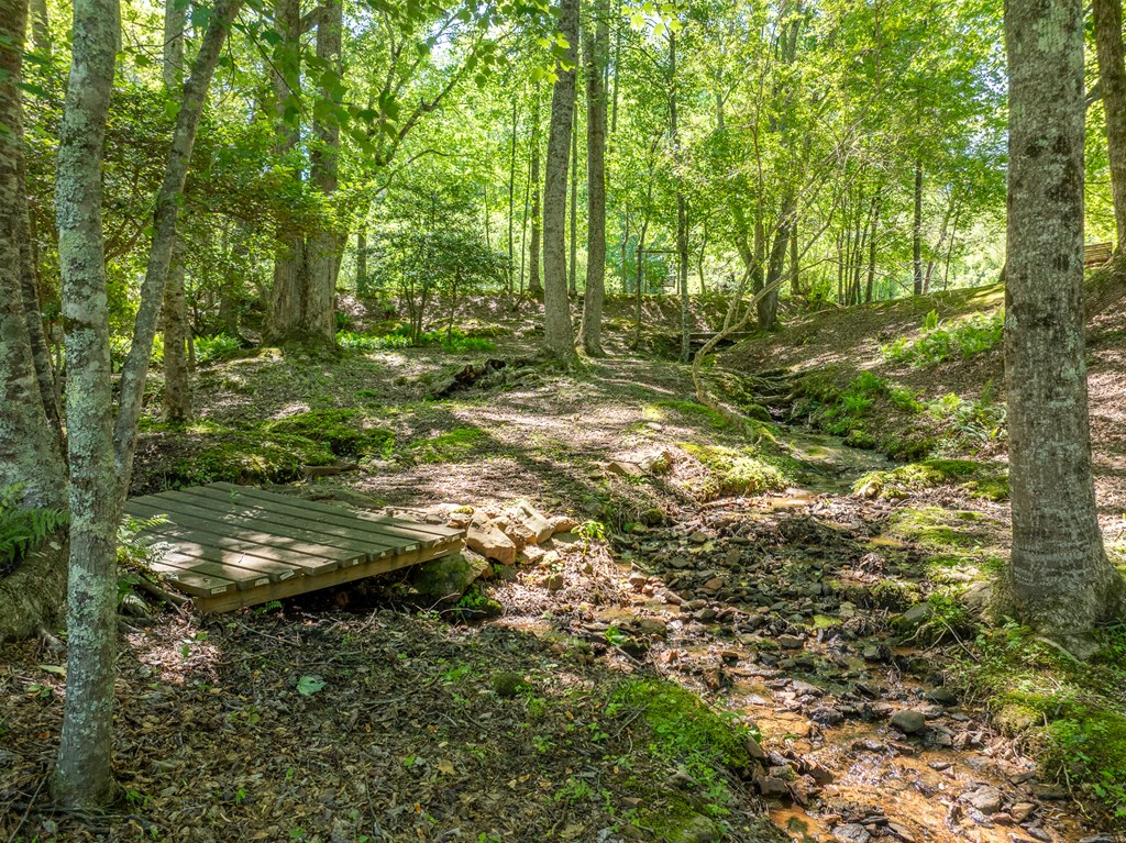 724 Fish Cove Road Blairsville, GA 30512 - Photo 28 of 88