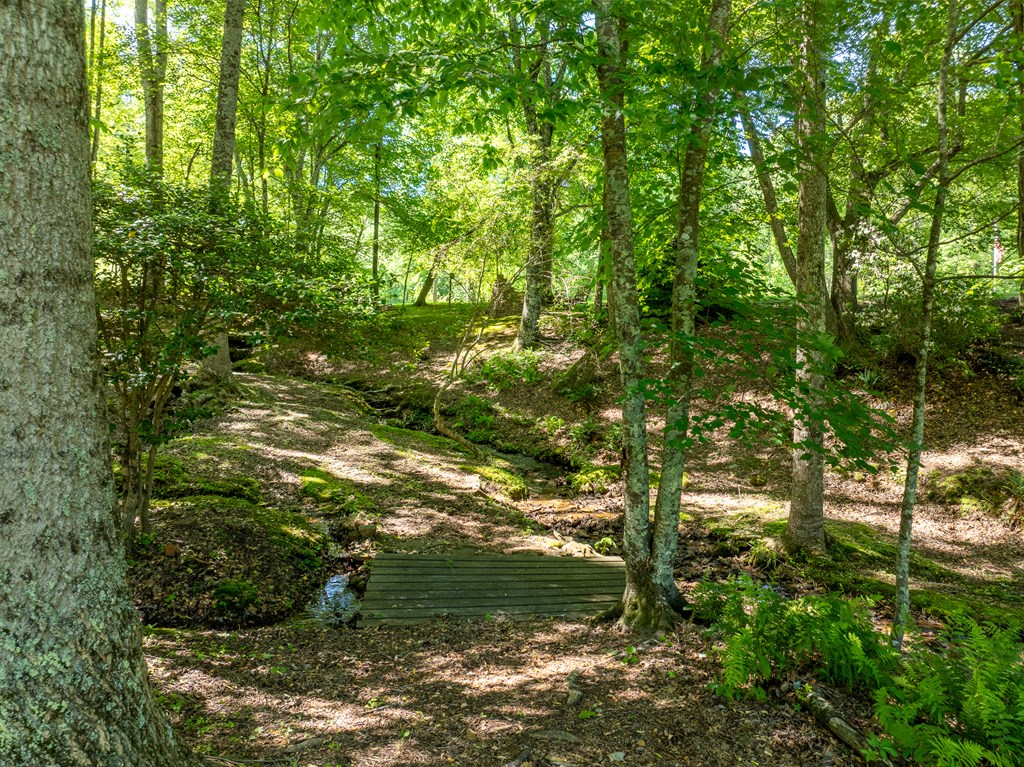 724 Fish Cove Road Blairsville, GA 30512 - Photo 29 of 88